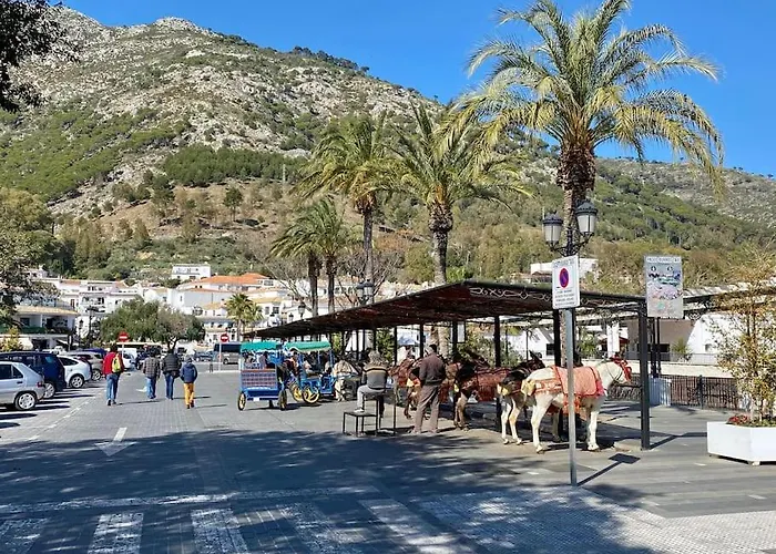 Апартаменты Higueronrentals The Aerie *